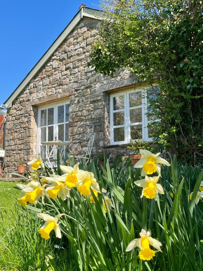 The Billiard Room - Cosy Country Retreat Abergavenny Exterior photo